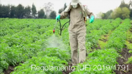 Regolamento (UE) 2019/1791 Regolamento (UE) 2019/1791