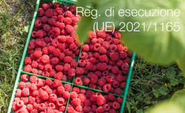 Regolamento di esecuzione (UE) 2021/1165 Regolamento di esecuzione (UE) 2021/1165