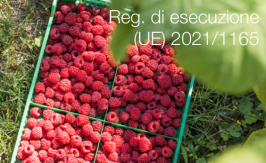 Regolamento di esecuzione (UE) 2021/1165