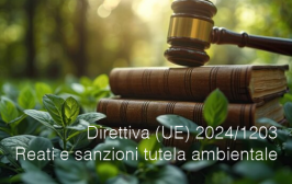 Direttiva (UE) 2024/1203 Direttiva (UE) 2024/1203