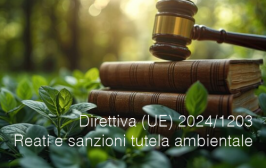 Direttiva (UE) 2024/1203