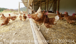 Regolamento di esecuzione (UE) 2020/464 Regolamento di esecuzione (UE) 2020/464