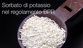 Regolamento delegato (UE) 2021/807 Regolamento delegato (UE) 2021/807