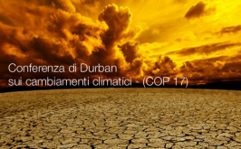 Conferenza di Durban sui cambiamenti climatici - (COP 17)