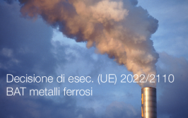 Decisione di esecuzione (UE) 2022/2110