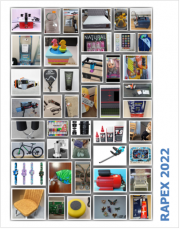RAPEX: Report annuale Certifico 2022 RAPEX: Report annuale Certifico 2022