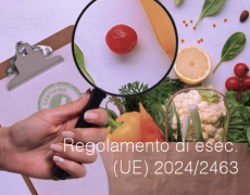Regolamento di esecuzione (UE) 2024/2463 Regolamento di esecuzione (UE) 2024/2463