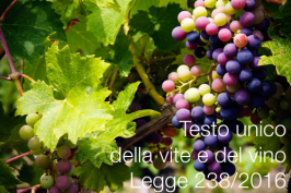 Testo unico della vite e del vino Legge 238 del 12/12/2016