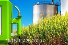 UNI/TS 11429:2020 UNI/TS 11429:2020