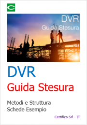 Guida stesura DVR