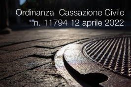 Cassazione civile Ordinanza n. 11794 12 aprile 2022
