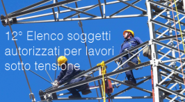 12° Elenco soggetti autorizzati per lavori sotto tensione