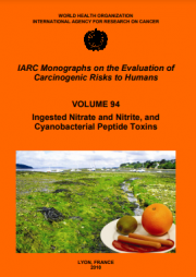 IARC Monographs Volume 94