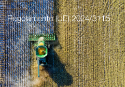 Regolamento (UE) 2024/3115 Regolamento (UE) 2024/3115