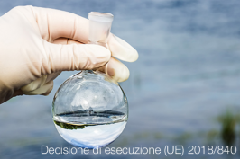 Decisione di esecuzione (UE) 2018/840 Decisione di esecuzione (UE) 2018/840