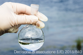 Decisione di esecuzione (UE) 2018/840