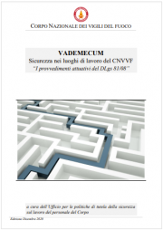 Vademecum I provvedimenti attuativi del DLgs 81/08 CNVVF Vademecum I provvedimenti attuativi del DLgs 81/08 CNVVF