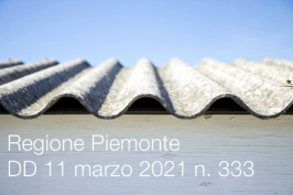 Regione Piemonte DD 11 marzo 2021 n. 333 Regione Piemonte DD 11 marzo 2021 n. 333