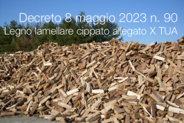 Decreto 8 maggio 2023 n. 90