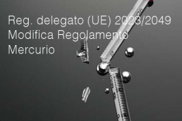 Regolamento delegato (UE) 2023/2049 Regolamento delegato (UE) 2023/2049