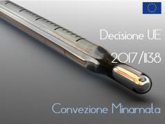 Decisione (UE) 2017/1138