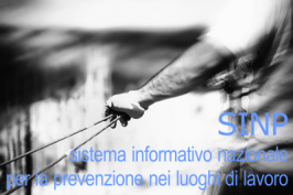 Decreto 25 maggio 2016 n. 183