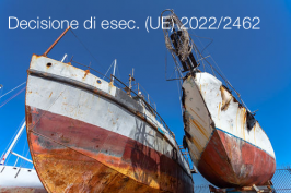 Decisione di esecuzione (UE) 2022/2462 Decisione di esecuzione (UE) 2022/2462