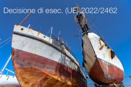 Decisione di esecuzione (UE) 2022/2462