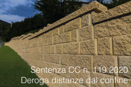 Sentenza CC n. 119 2020