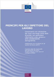 Principi per gli ispettori del lavoro Principi per gli ispettori del lavoro