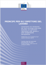 Principi per gli ispettori del lavoro