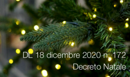 Decreto-Legge 18 dicembre 2020 n. 172 