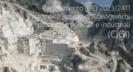 Regolamento (UE) 2023/2411 / CIGI - Craft and Industrial Geographical Indication Regolamento (UE) 2023/2411 / CIGI - Craft and Industrial Geographical Indication