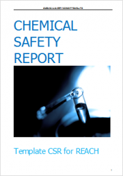 Templates Chemical Safety Report (CSR)