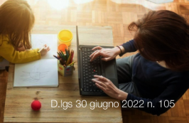 Decreto Legislativo 30 giugno 2022 n. 105