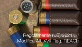 Regolamento (UE) 2021/57 