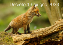 Decreto 13 giugno 2023