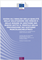 Guida alla qualità delle valutazione rischi DMS