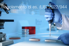 Regolamento di esecuzione (UE) 2022/944 Regolamento di esecuzione (UE) 2022/944