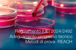 Regolamento (UE) 2024/2492 Regolamento (UE) 2024/2492