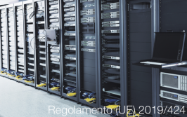 Regolamento (UE) 2019/424 Regolamento (UE) 2019/424