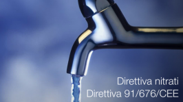 Direttiva 91/676/CEE Direttiva 91/676/CEE