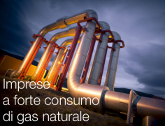 D.M. 2 marzo 2018 Imprese a forte consumo gas naturale