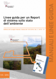 Linee guida per un report di sistema sullo stato dell'ambiente