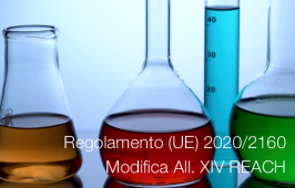 Regolamento (UE) 2020/2160