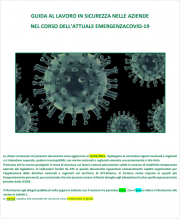 Guida al lavoro in sicurezza COVID-19 | ATS Brianza Febbraio 2021 Guida al lavoro in sicurezza COVID-19 | ATS Brianza Febbraio 2021