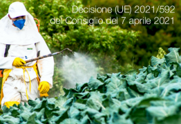 Decisione (UE) 2021/592 del Consiglio del 7 aprile 2021