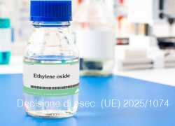 Decisione di esecuzione (UE) 2025/1074 Decisione di esecuzione (UE) 2025/1074