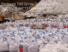 Sentenza TAR Emilia-Romagna (BO) Sez. I n. 9 dell'11 Gennaio 2021