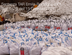 Sentenza TAR Emilia-Romagna (BO) Sez. I n. 9 dell'11 Gennaio 2021 Sentenza TAR Emilia-Romagna (BO) Sez. I n. 9 dell'11 Gennaio 2021